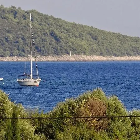 Appartement By The Sea Prizba, Korcula - 14385 Prizba